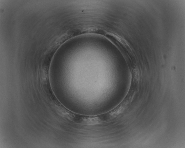 X0000074300517200608251213