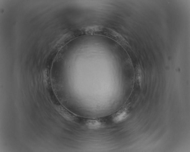 X0000074300519200608251213