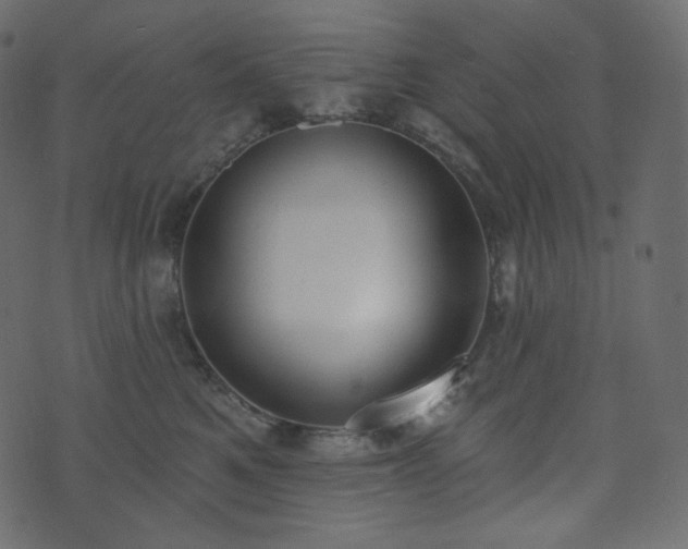 X0000074300521200608251213