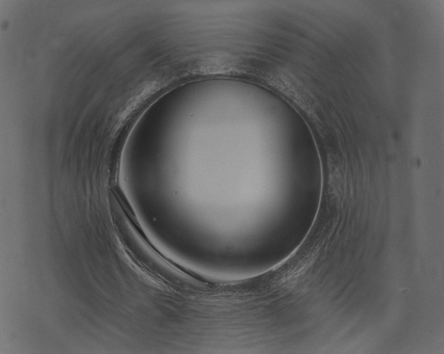 X0000074300530200608251213