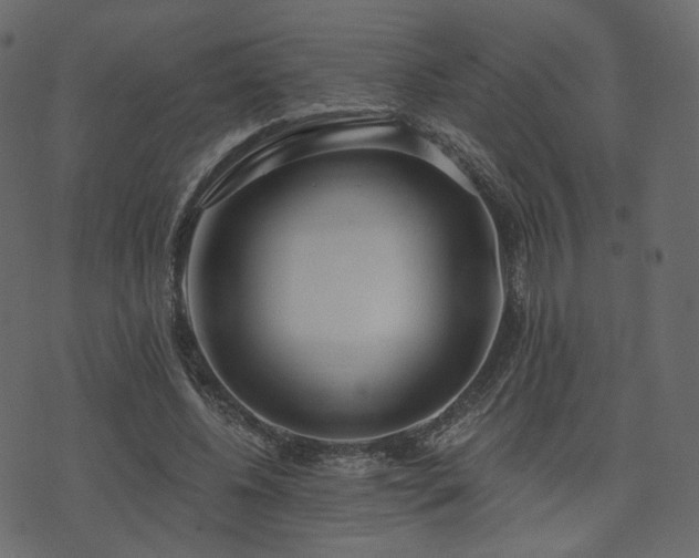 X0000074300540200608251213