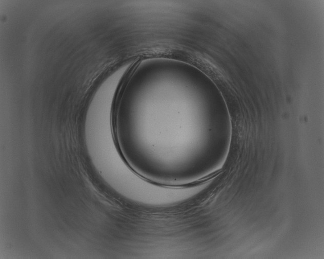 X0000074300546200608251213