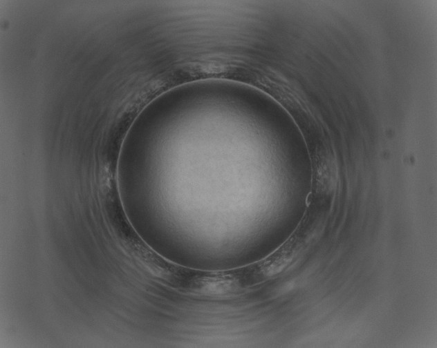 X0000074300555200608251213