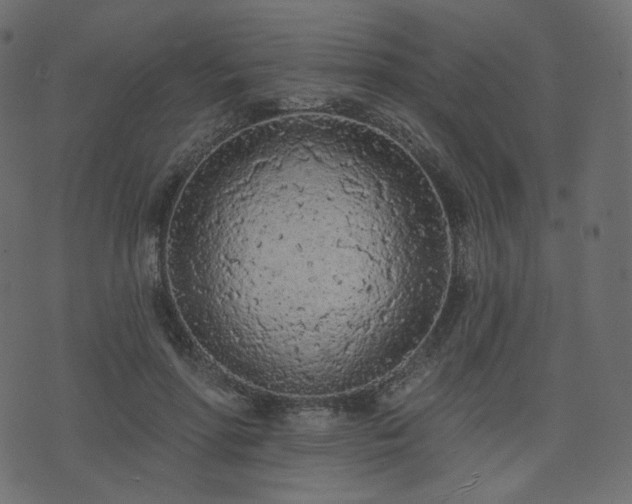 X0000074300598200608251212