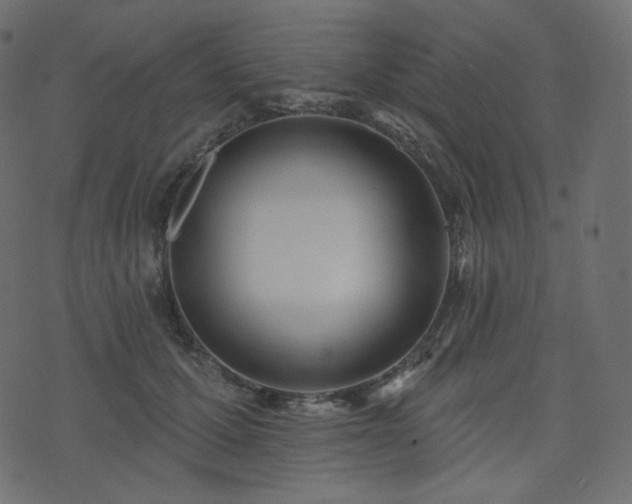 X0000074300607200608251212