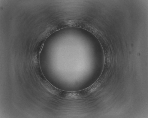 X0000074300611200608251212