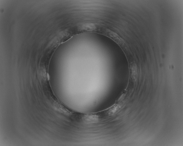 X0000074300617200608251212
