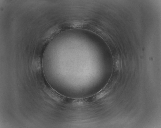 X0000074300620200608251212