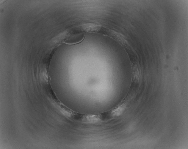 X0000074300622200608251212