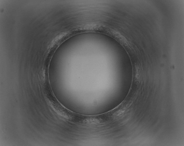 X0000074300636200608251211