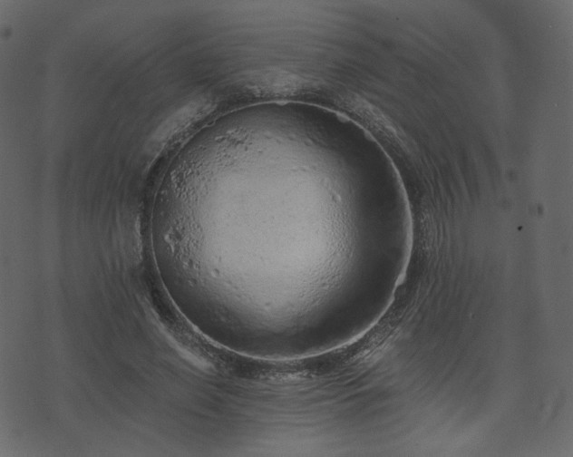 X0000074300638200608251211