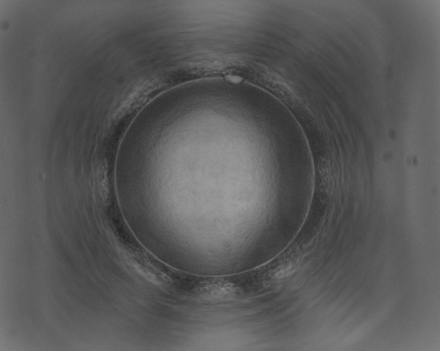 X0000074300642200608251211