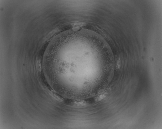 X0000074300666200608251212