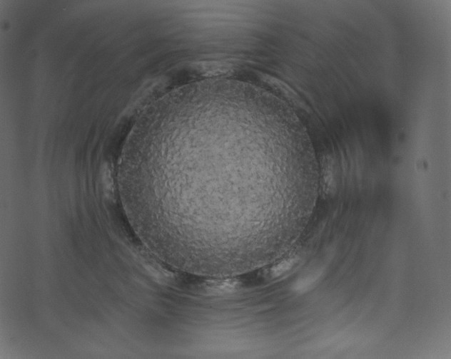 X0000074300667200608251212