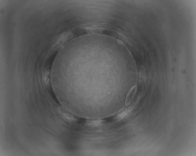 X0000074300671200608251212