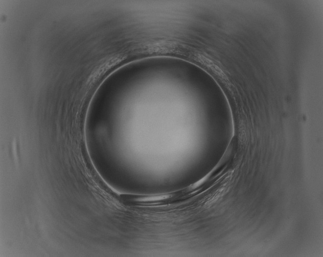 X0000074300673200608251211