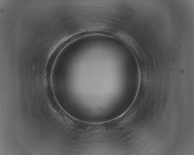 X0000074300676200608251211