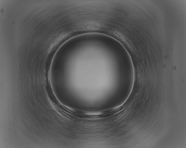 X0000074300677200608251211