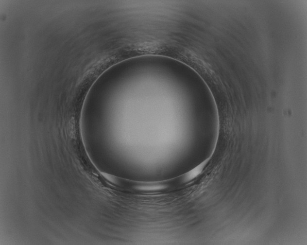 X0000074300689200608251211