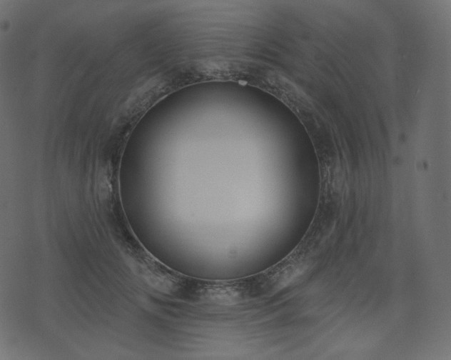 X0000074300702200608251210
