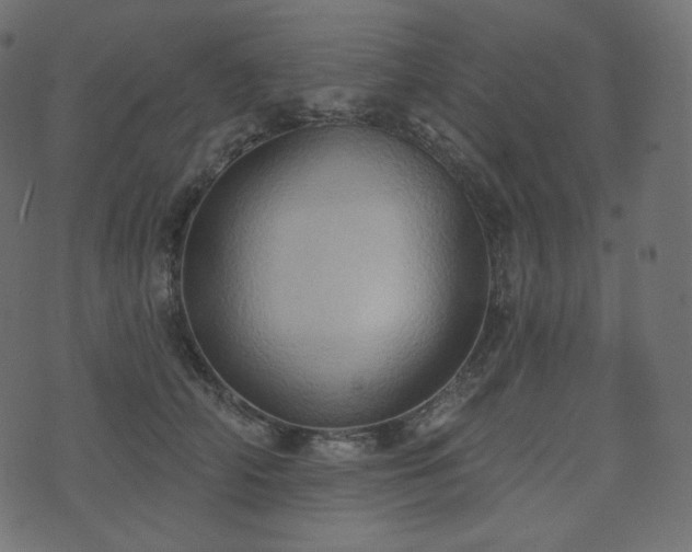 X0000074300706200608251210