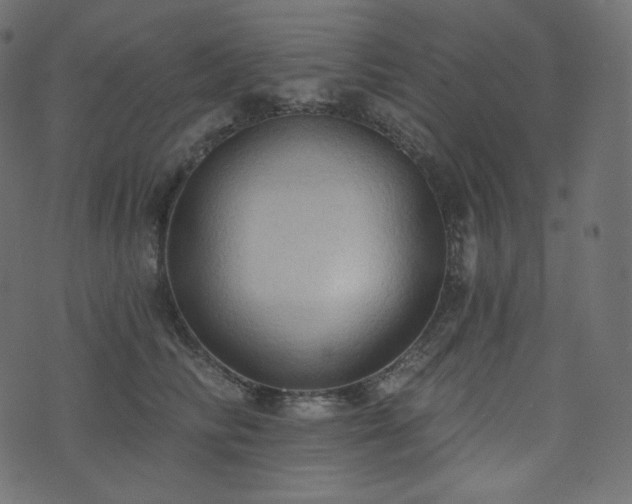 X0000074300710200608251210