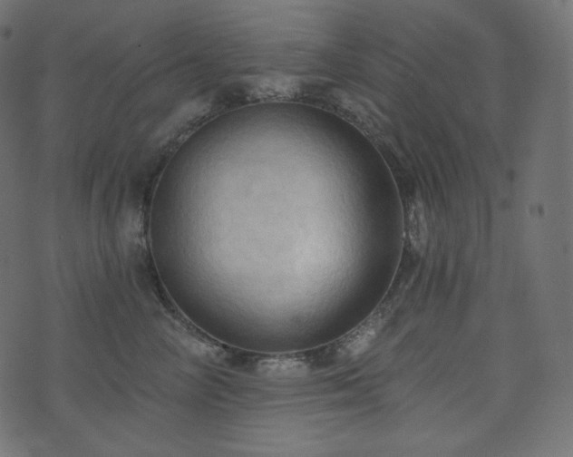 X0000074300714200608251210