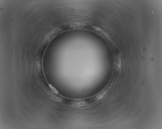 X0000074300716200608251210