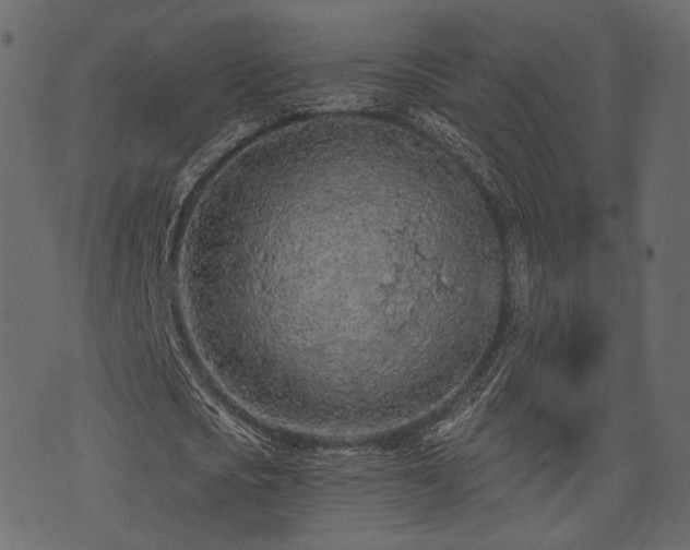 X0000074300721200608251209