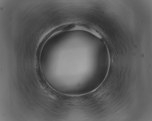 X0000074300724200608251209