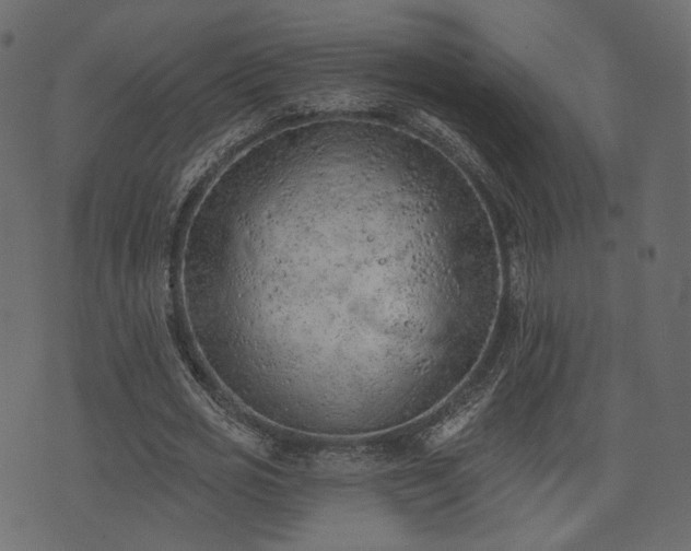 X0000074300725200608251209