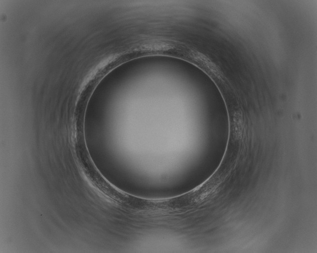 X0000074300726200608251209