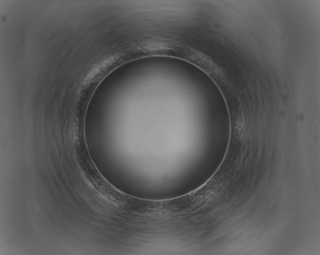 X0000074300732200608251210