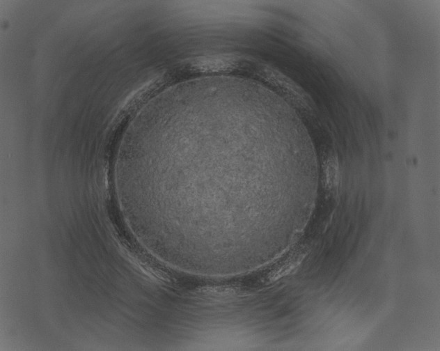 X0000074300733200608251210