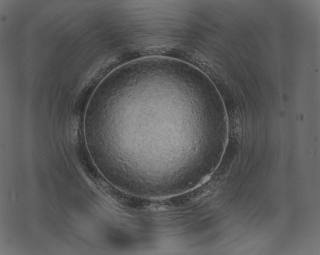 X0000074300742200608251210