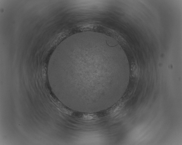 X0000074300753200608251210