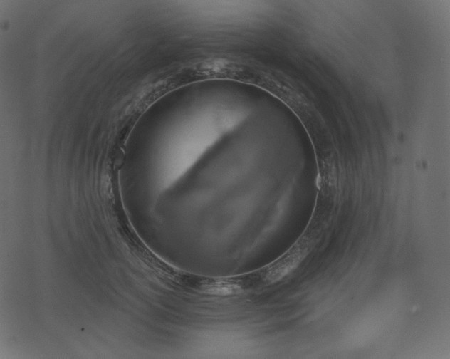 X0000074300754200608251210