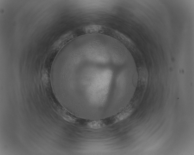 X0000074300761200608251210