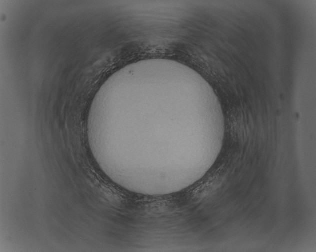 X0000074300769200608251209
