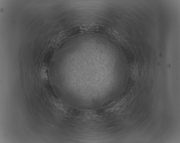 X0000074300770200608251209