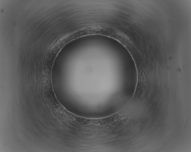 X0000074300773200608251209