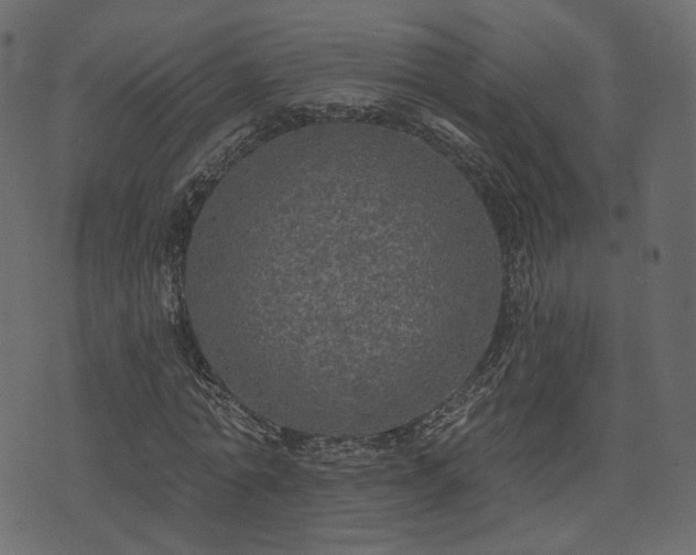 X0000074300774200608251209