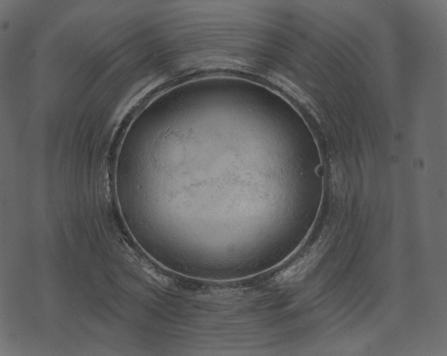 X0000074300782200608251209