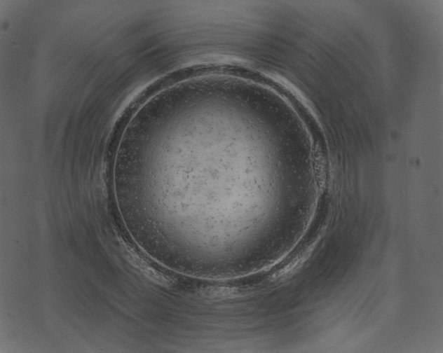 X0000074300783200608251209