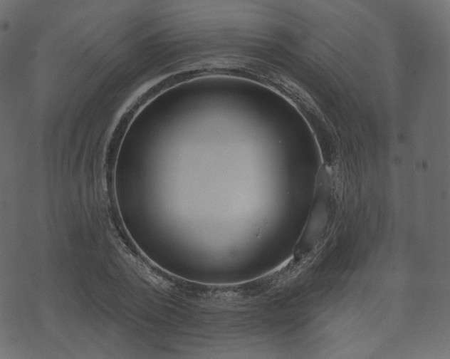 X0000074300784200608251209