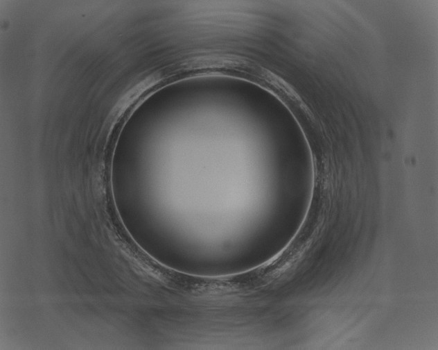 X0000074300786200608251209