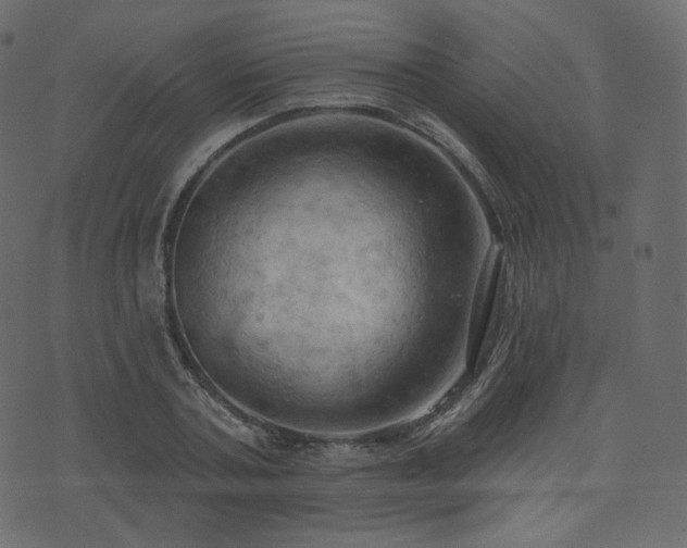 X0000074300787200608251209