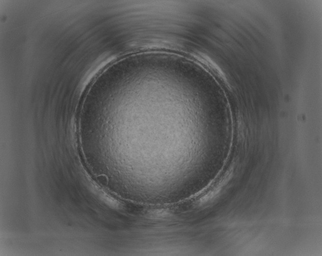 X0000074300798200608251209