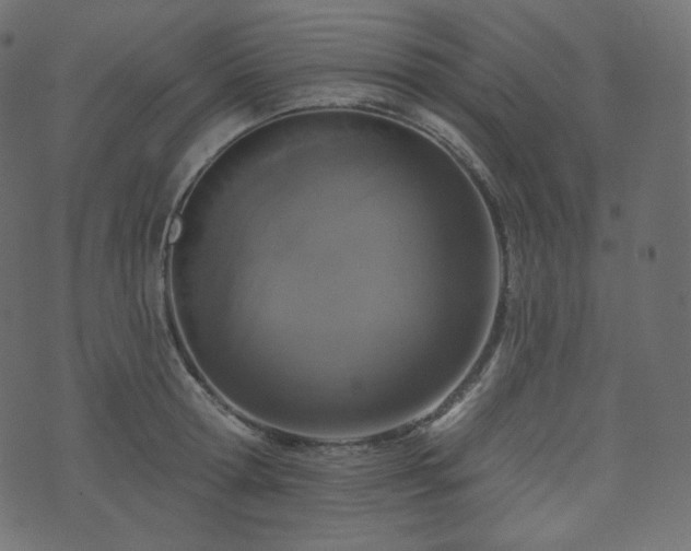 X0000074300802200608251209