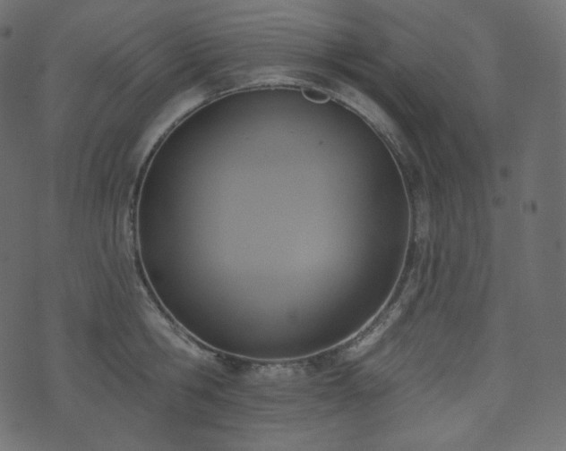 X0000074300806200608251209